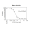 Recombinant SARS-CoV-2 Mpro, 3CL protease 